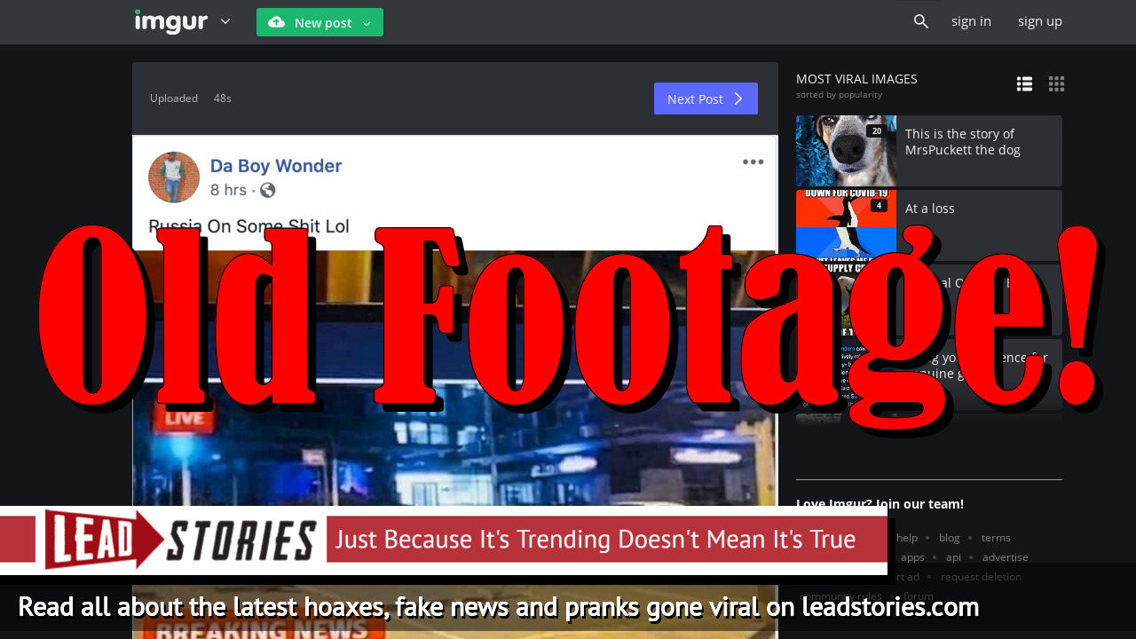 Fact Check: Russia's Putin Did NOT Release 500 Lions To Keep People Indoors Amid Coronavirus