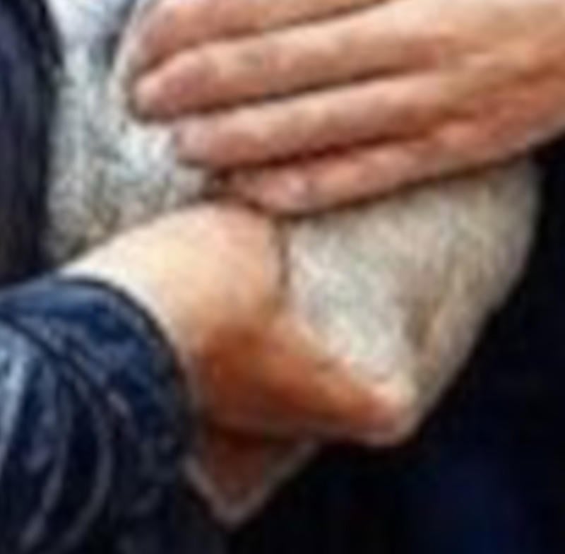 crop2_516744920_635214486279168_1284912428789207236_n.jpg