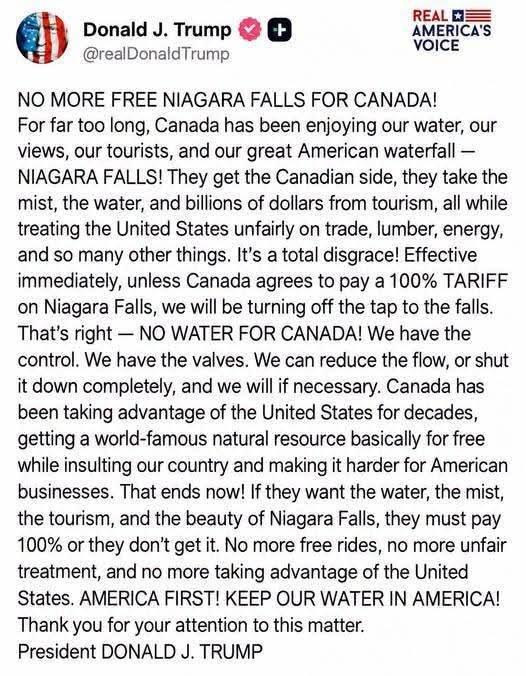 Fake Trump post.jpg
