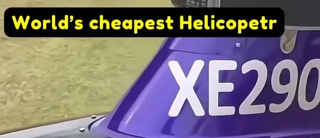 xe290.jpg
