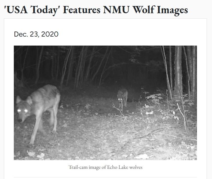 northerntoday.jpg