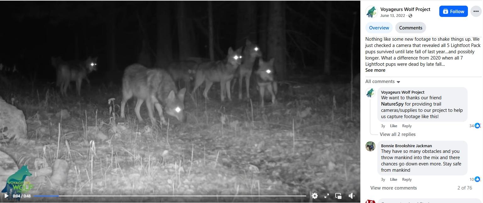 voyageurswolf.jpg
